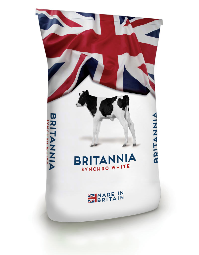 Britannia Synchro White bag