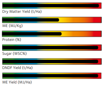 Colossal Grass Seeds Mixture performance metrics