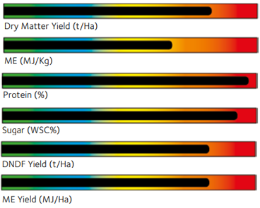 Colossal Red Grass Seeds Mixture performance metrics
