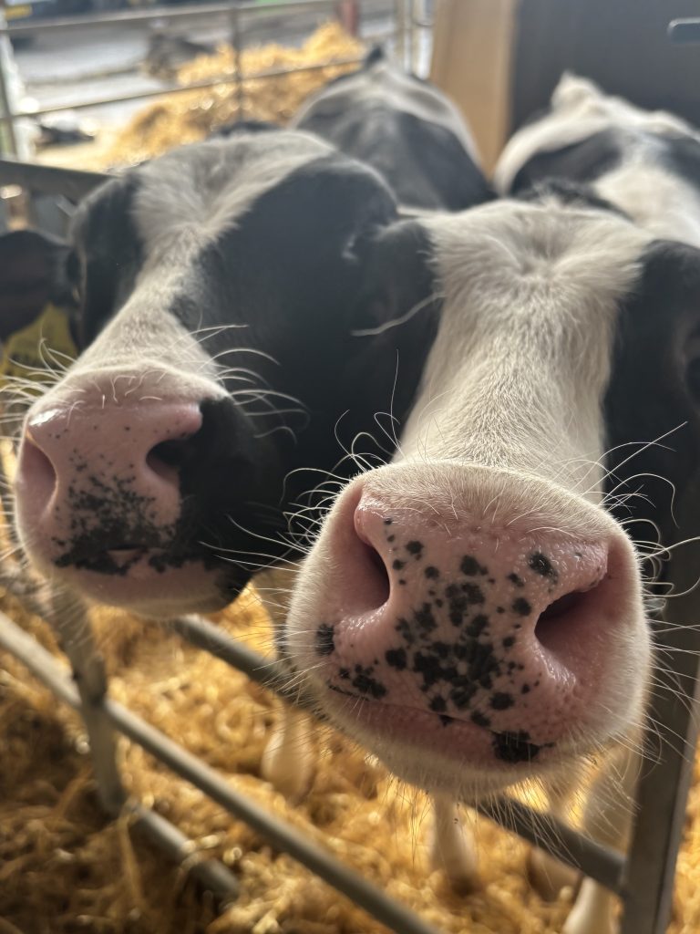 Navigating the challenges ahead of the coming winter