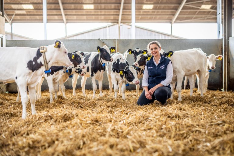 Learning, Networking and Discussion at Our Autumn Calf Roadshow